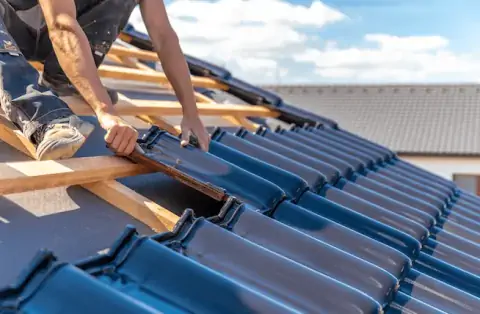 Couverture - Pruniers